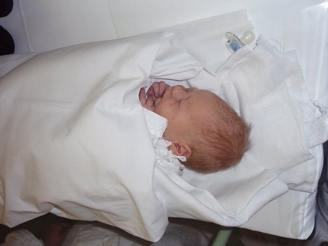 img00010.jpg