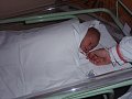 img00019.jpg